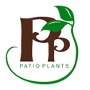 Patio Plants